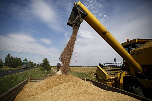 Польша из-за Украины начнет скупать зерно за госсчет