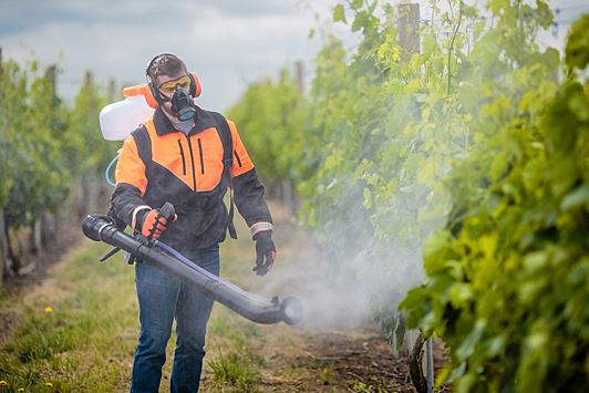 Роспотребнадзор разрешил использовать в РФ запрещенные в ЕС пестициды