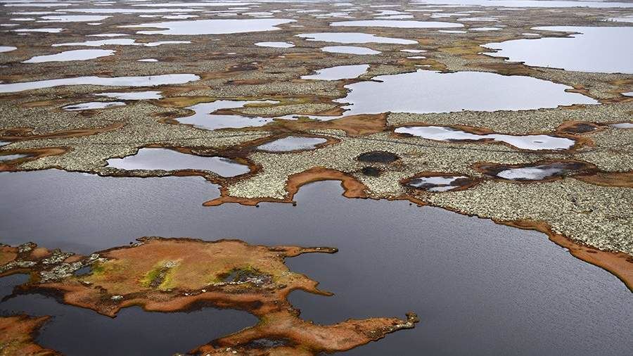 Российские болота могут спасти мир от глобального потепления<br />
