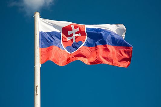 Словакия намерена усилить контроль за зерном с Украины для защиты внутреннего рынка