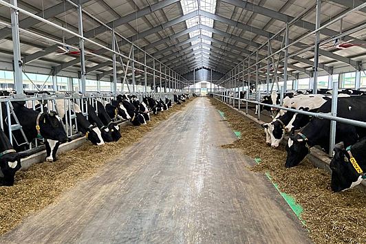 В Кировской области появятся 4 молочные фермы