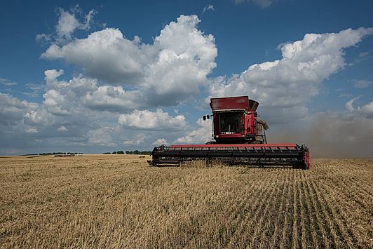 В Польше заявили о согласии Украины прекратить поставки зерна