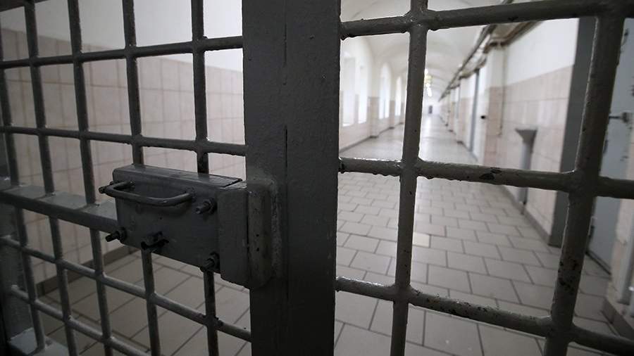 Жительницу Хабаровска приговорили к колонии за истязание детей<br />
