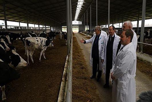 Глава краснодарского парламента посетил крупнейшую сельскохозяйственную компанию