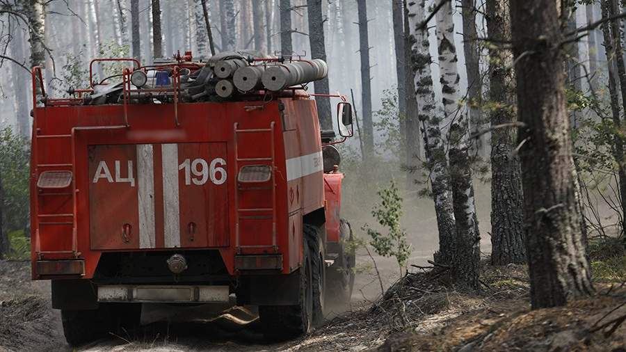 Псковская область получит два лесопожарных комплекса в рамках нацпроекта<br />
